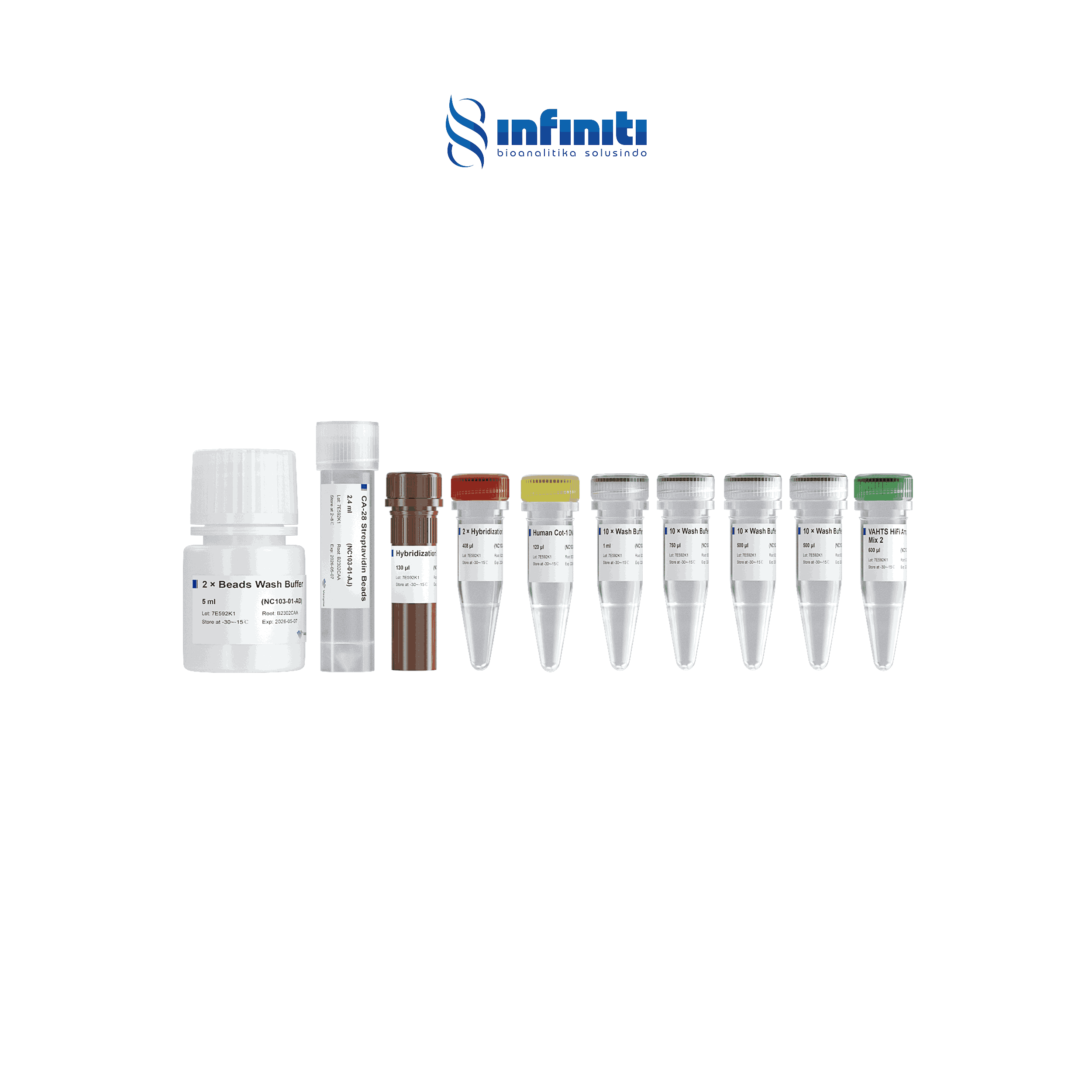 Reagent - Capture Probe VAHTS Target Capture Hybridization and Wash Kit