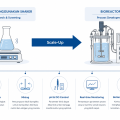 Transisi dari Kultur Shaker ke Bioreactor: Panduan Scale-Up Bioproses